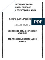 254585501-Patologia-sida.docx