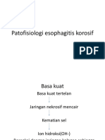 Patofisiologi esophagitis korosif