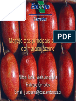 doenças maracujazeiro.pdf