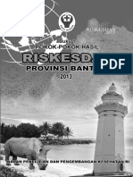 2013-Riskesdas Banten PDF
