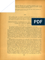 Panfleto Contra Perón - Morfología Patológica Del Delincuente Nato Nro 1 de La Argentina