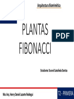 Plantas Fibonacci