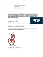sistem peredaran darah.pdf