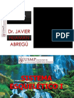 Sistema Esquelético I PDF