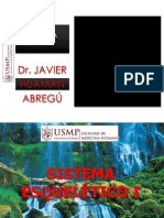 SISTEMA ESQUELÉTICO I .pdf