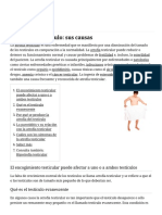 Atrofia Del Testículo: Sus Causas PDF