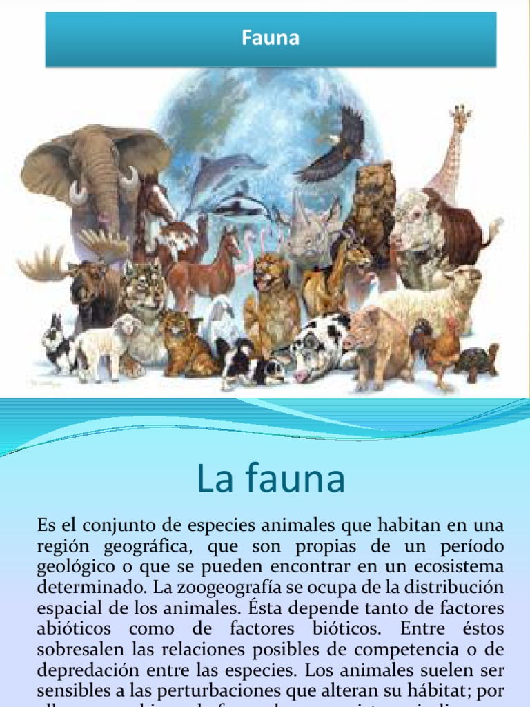Fauna de la República Dominicana | PDF | Murciélago | Organismos