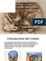 Clase Artrologia Craneo