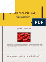 Anemia Pada Ibu Hamil