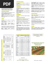 folder cultivo de hortaliças convencional