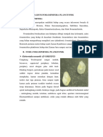 Album Foraminifera Plangtonik