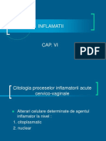 CITOLOGIE CAP.VI.ppt