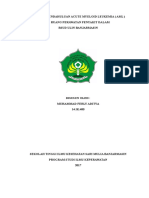 Tinjauan Pustaka Acute Myeloid Leukemia