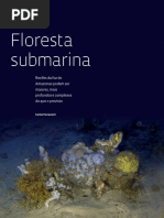 Floresta Submarina [Revista Fapesp 2018]