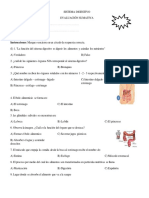 Prueba Digestivo Octavo