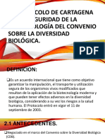 El Protocolo de Cartagena sobre Seguridad de la.pptx