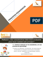 Principios Pedagógicos.pdf