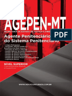 2016 Apostila Agente Penitenciário 707p PDF