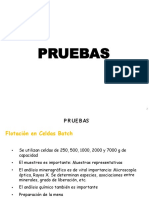 05 Flotacion PDF
