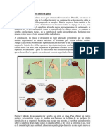 Informe .... de Biote (1 y 2)