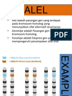 Biologi PPT Alel