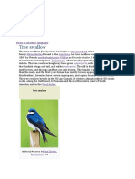 tree swallow birds.docx