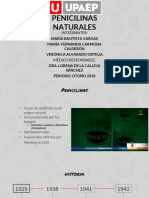 Penicilinas Naturales 2