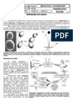 Classificação e reprodução dos fungos