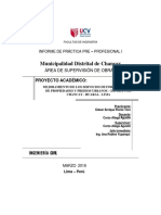 Informe Ppi Edson Flores