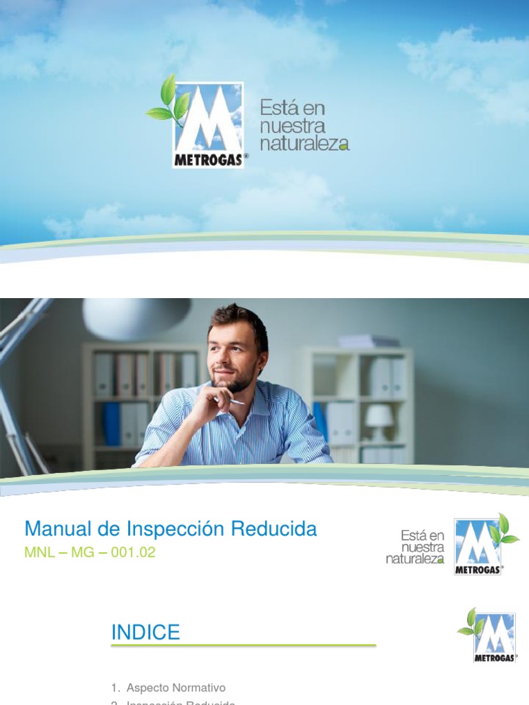 Modulo 1 - Inspección Reducida | PDF | Naturaleza