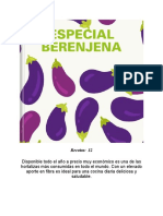 Especial Berenjena PDF