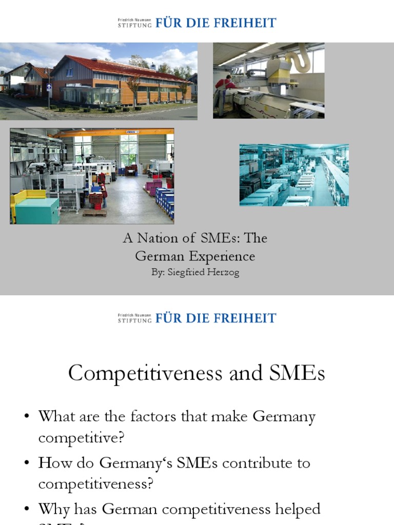 Germany's SMEs and National Competitiveness | PDF | Small And Medium ...