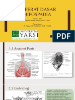 Refdas Hipospadia