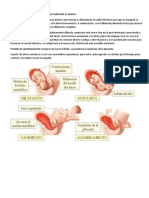 El parto tiene diferentes fases que van indicando su avance.doc