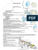 Anatomie Hochcervikal Innervation 12