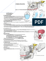 Anatomie Hochcervikal Innervation 13