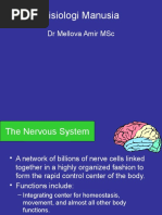 Fisiologi Manusia: DR Mellova Amir MSC