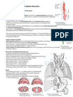 Anatomie Hochcervikal Innervation 16