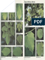 Plantas - Arboles de Hoja Caduca1Parte12.pdf