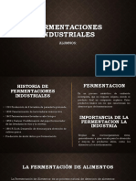 Fermentaciones Industriales