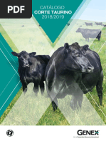 Catalago Corte Tourino2018-2019