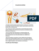 Ancylostomatidae: causas, sintomas e controle da ancilostomose