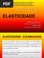 Trabalho Elasticidade