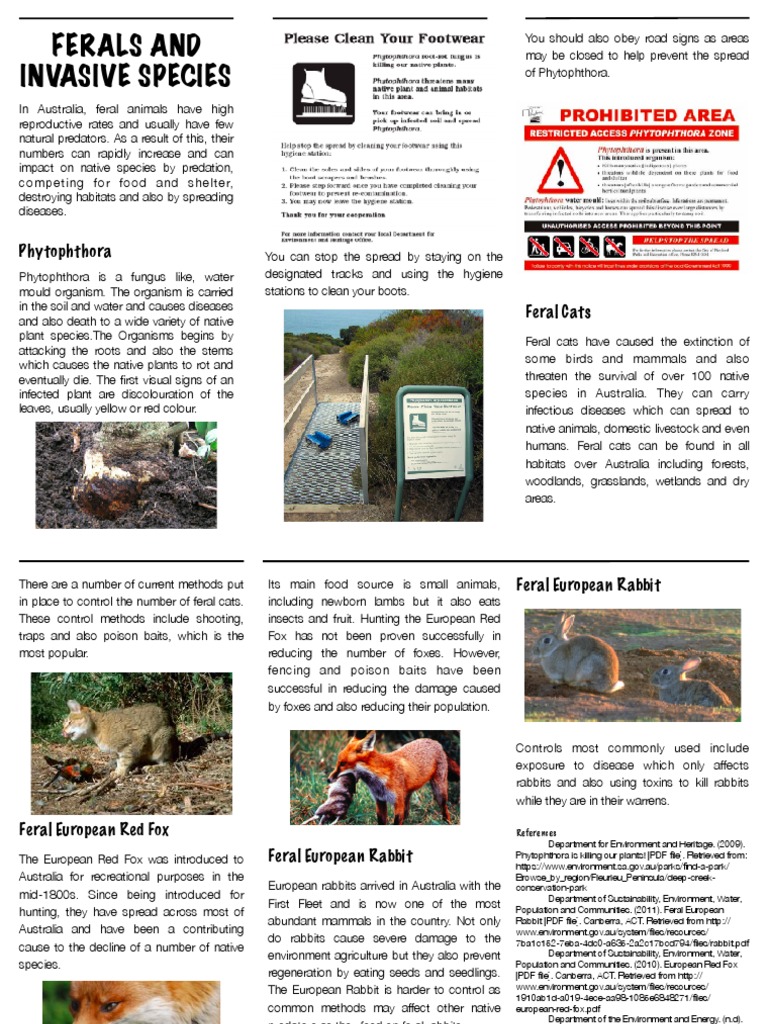 Ferals and Invasive Species | PDF | Invasive Species | Cats
