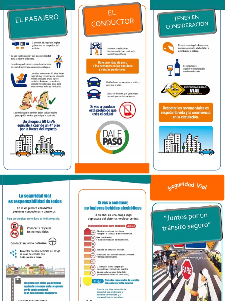 Triptico De Seguridad Vial Pdf