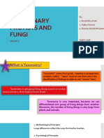 Protista Dan Fungi Kel 3