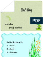 สัตว์วัตถุ