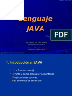 Curso Lenguaje JAVA(Modificado 02-2010)