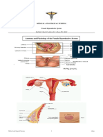 Female Reproductive System PDF