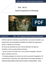 DDS NR22 Mineracao PDF